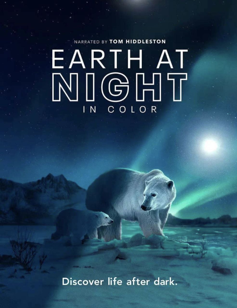 夜色中的地球 S2(2021)[超清蓝光4K(2160P)][美国/纪录片]阿里云盘下载 纪录片 第1张