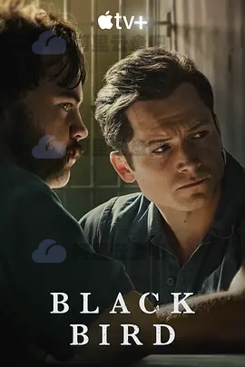 《黑鸟 Black Bird》高清4K美剧 阿里云盘资源免费在线观看下载(2022) 电影 第1张