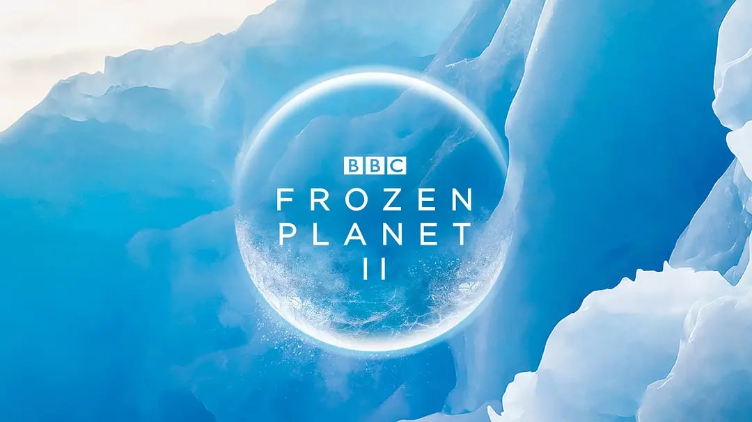 冰冻星球 第2季(2022)[全6集][4K * IMDB][BBC]阿里云盘下载 纪录片 第1张