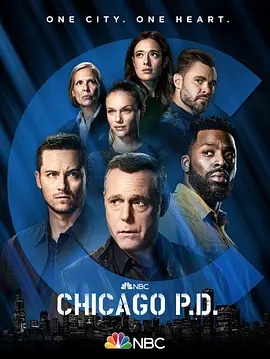 芝加哥警署[1-9季全][1080P][英语中字][美剧]阿里云盘.百度网盘下载 电视剧 第1张