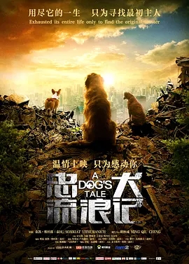 忠犬流浪记(2021)[4k2160p][国语中英字幕][杜比音效][电影]阿里云盘下载 电影 第1张