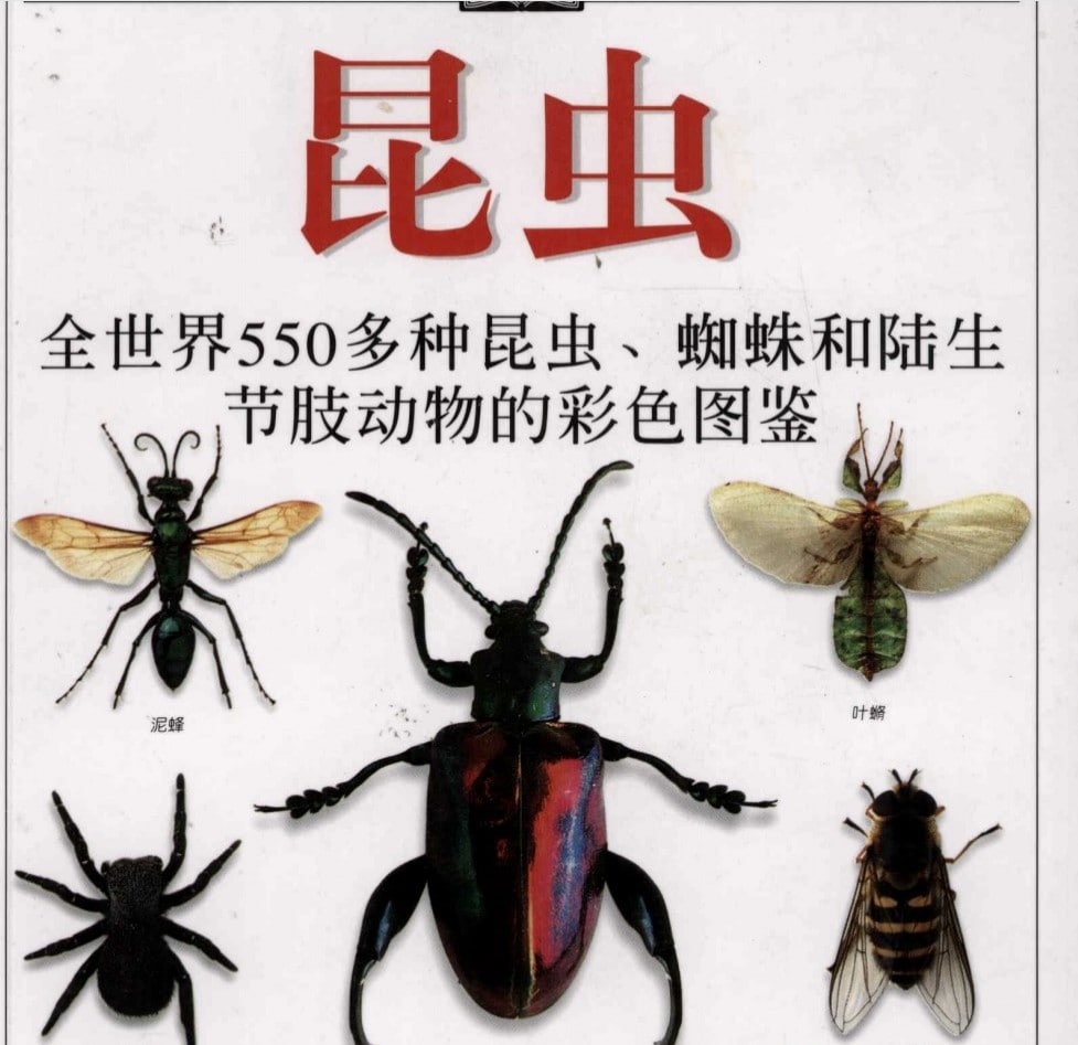 昆虫：全世界550多种昆虫、蜘蛛和陆生节肢动物的彩色图鉴[王琛柱.全彩版] 电子书 第1张