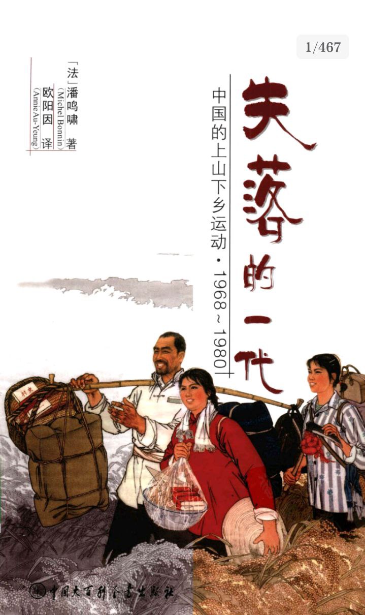 失落的一代：中国的上山下乡运动1968-1980[azw3]电子书下载 电子书 第1张